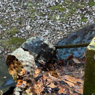 Sale Photo Thumbnail #524