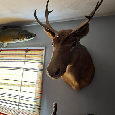 Sale Photo Thumbnail #15