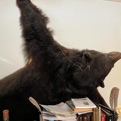 Sale Photo Thumbnail #24