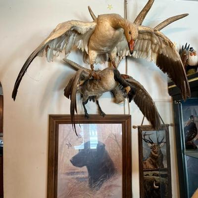 Sale Photo Thumbnail #8