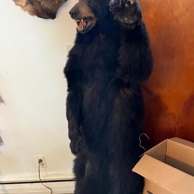 Sale Photo Thumbnail #13