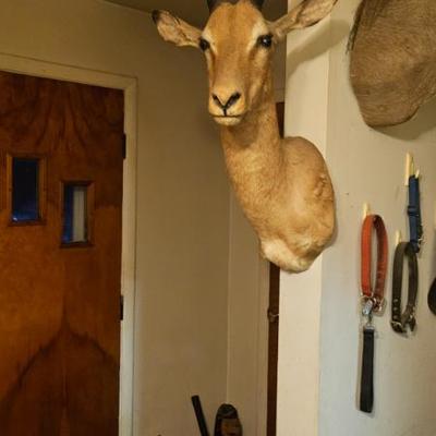 Sale Photo Thumbnail #4