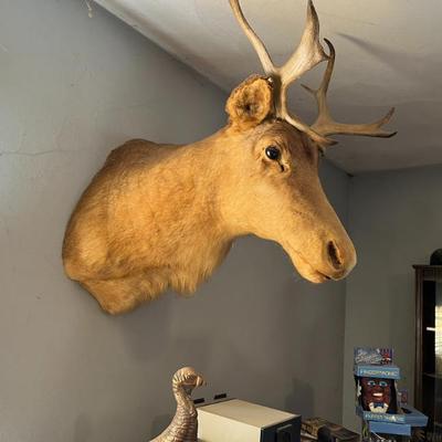 Sale Photo Thumbnail #20