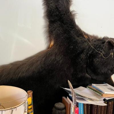 Sale Photo Thumbnail #23