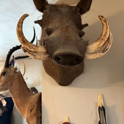 Sale Photo Thumbnail #5