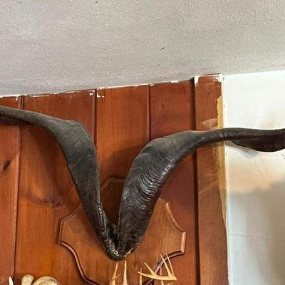 Sale Photo Thumbnail #22