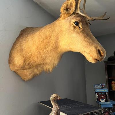 Sale Photo Thumbnail #21