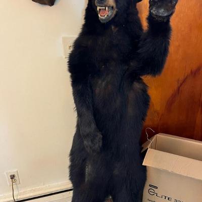 Sale Photo Thumbnail #12