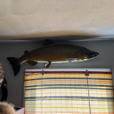 Sale Photo Thumbnail #17