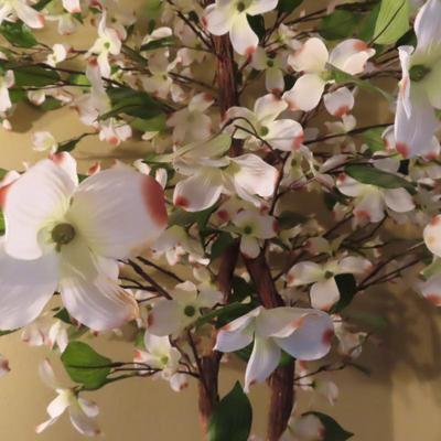 Sale Photo Thumbnail #34