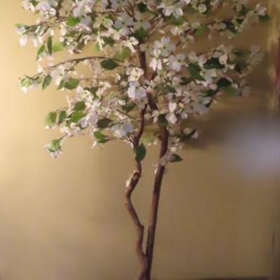 Sale Photo Thumbnail #32