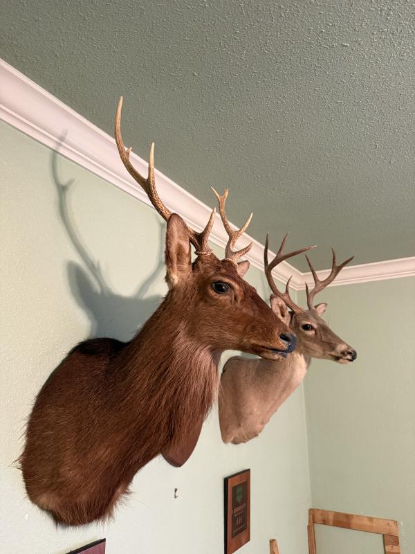 Sale Photo Thumbnail #7