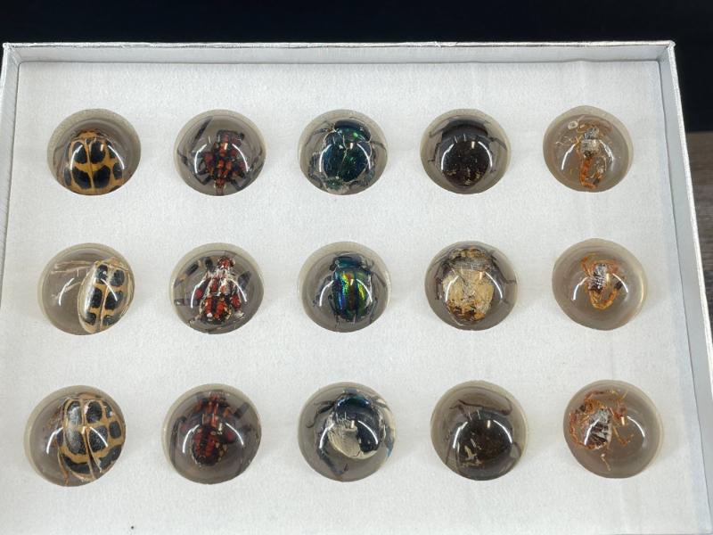 Sale Photo Thumbnail #454