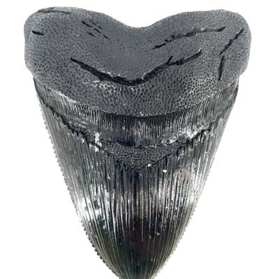 Sale Photo Thumbnail #253