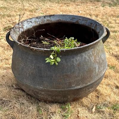 Sale Photo Thumbnail #672