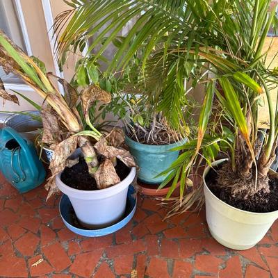 Sale Photo Thumbnail #141