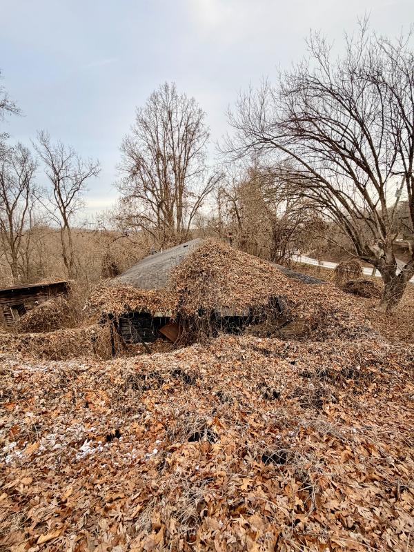 Sale Photo Thumbnail #7