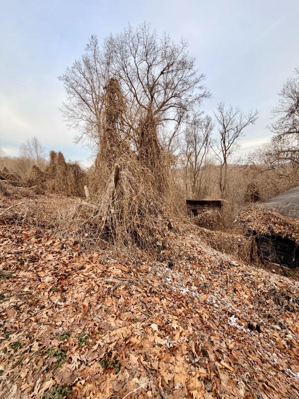 Sale Photo Thumbnail #8