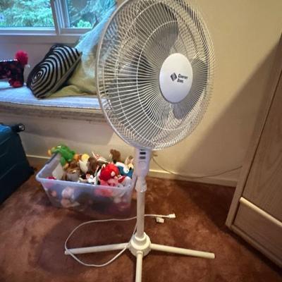 Fan