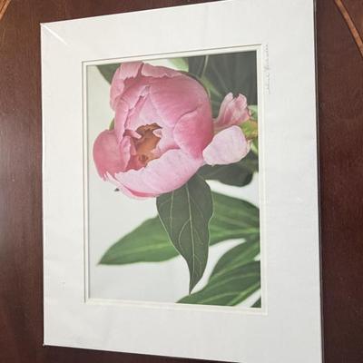 Sale Photo Thumbnail #150