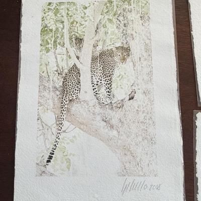 Sale Photo Thumbnail #149