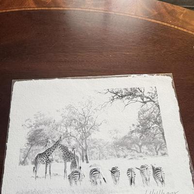 Sale Photo Thumbnail #148