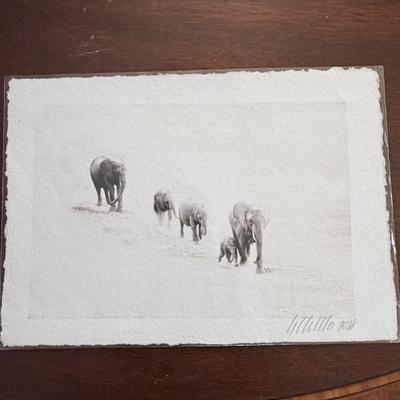 Sale Photo Thumbnail #147