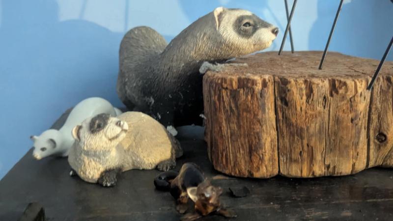 Sale Photo Thumbnail #9