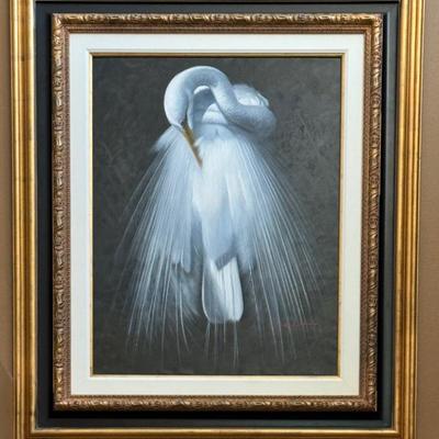 M P Elliot 
Egret. - 1st in Series