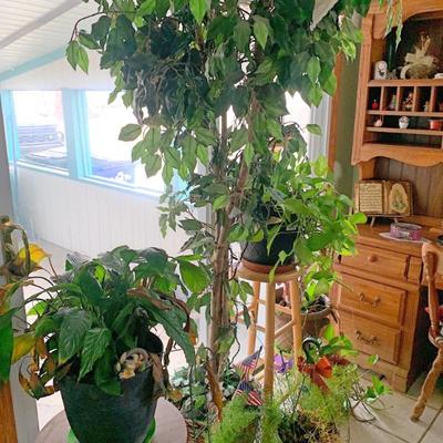 Sale Photo Thumbnail #23