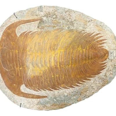 Sale Photo Thumbnail #10