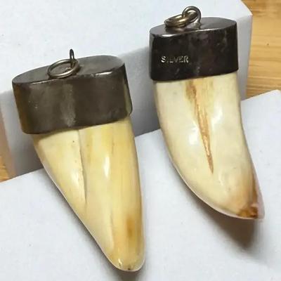Pair of silver tipped tooth pendants