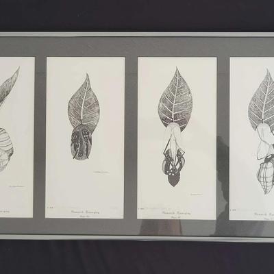 "Monarch Emerging" by Carl James Freeman (LR)