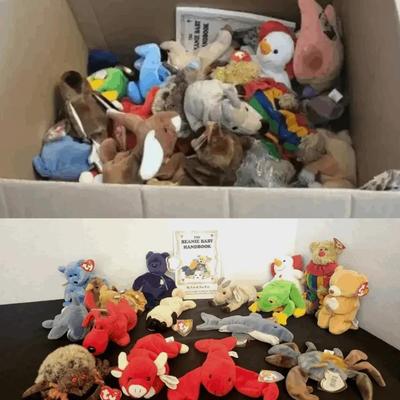 Beanie Babies Mystery Lot (BR2)
