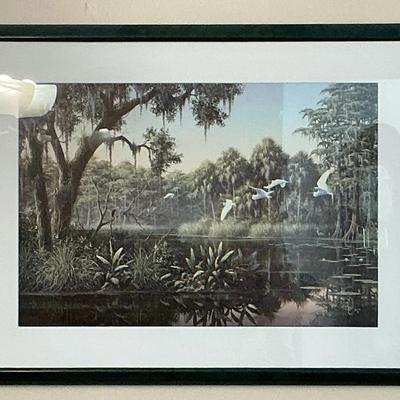Florida Wetlands Print With Egrets, Night Heron And Great Blue Heron 