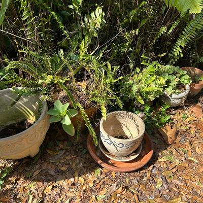 Collection Of Clay Pots