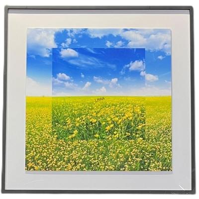 Sale Photo Thumbnail #129