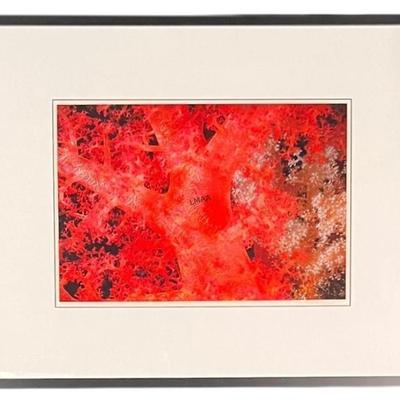 Sale Photo Thumbnail #32