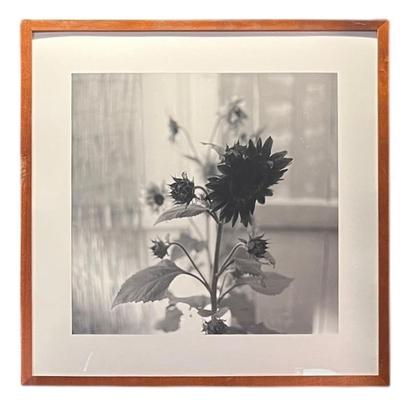 Sale Photo Thumbnail #112