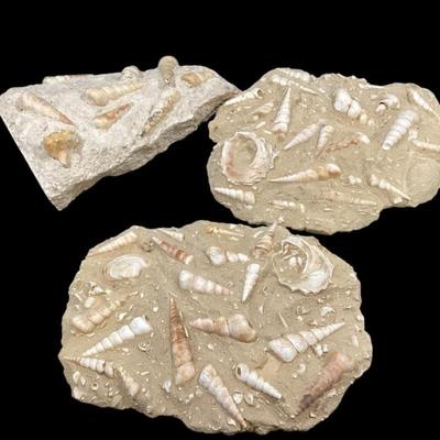 Sale Photo Thumbnail #247