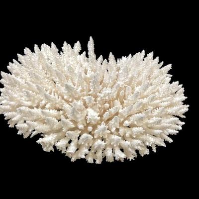 Sale Photo Thumbnail #88