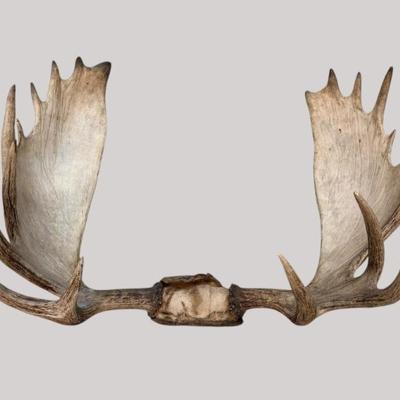 Sale Photo Thumbnail #245