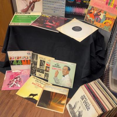 Vinyl Variety Box (2)