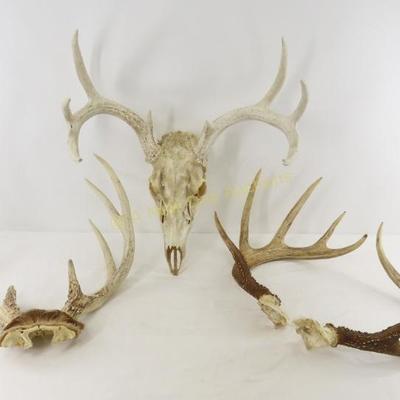 Sale Photo Thumbnail #219