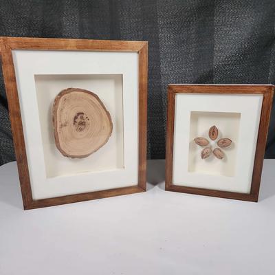 Pecans And Edge Wood Slab Wall Art