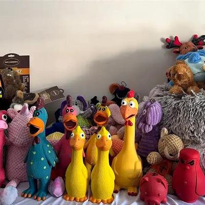 Huge Lot Of Dog Toys And Beds