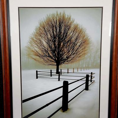 Amanti Art framed print titled "Solitude" by artist David Lorenz Winston