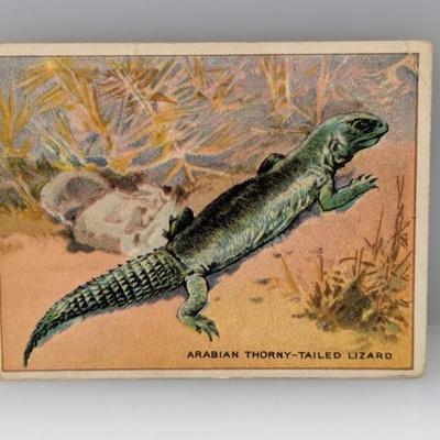 Sale Photo Thumbnail #669