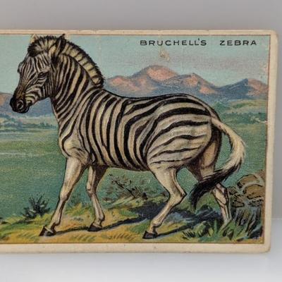 Sale Photo Thumbnail #681