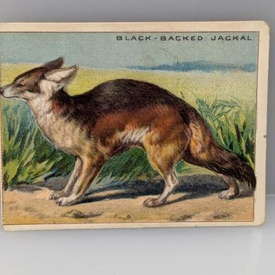 Sale Photo Thumbnail #677